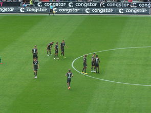 开云体育登录-荷兰完胜哥伦比亚，格列兹曼惊艳世界