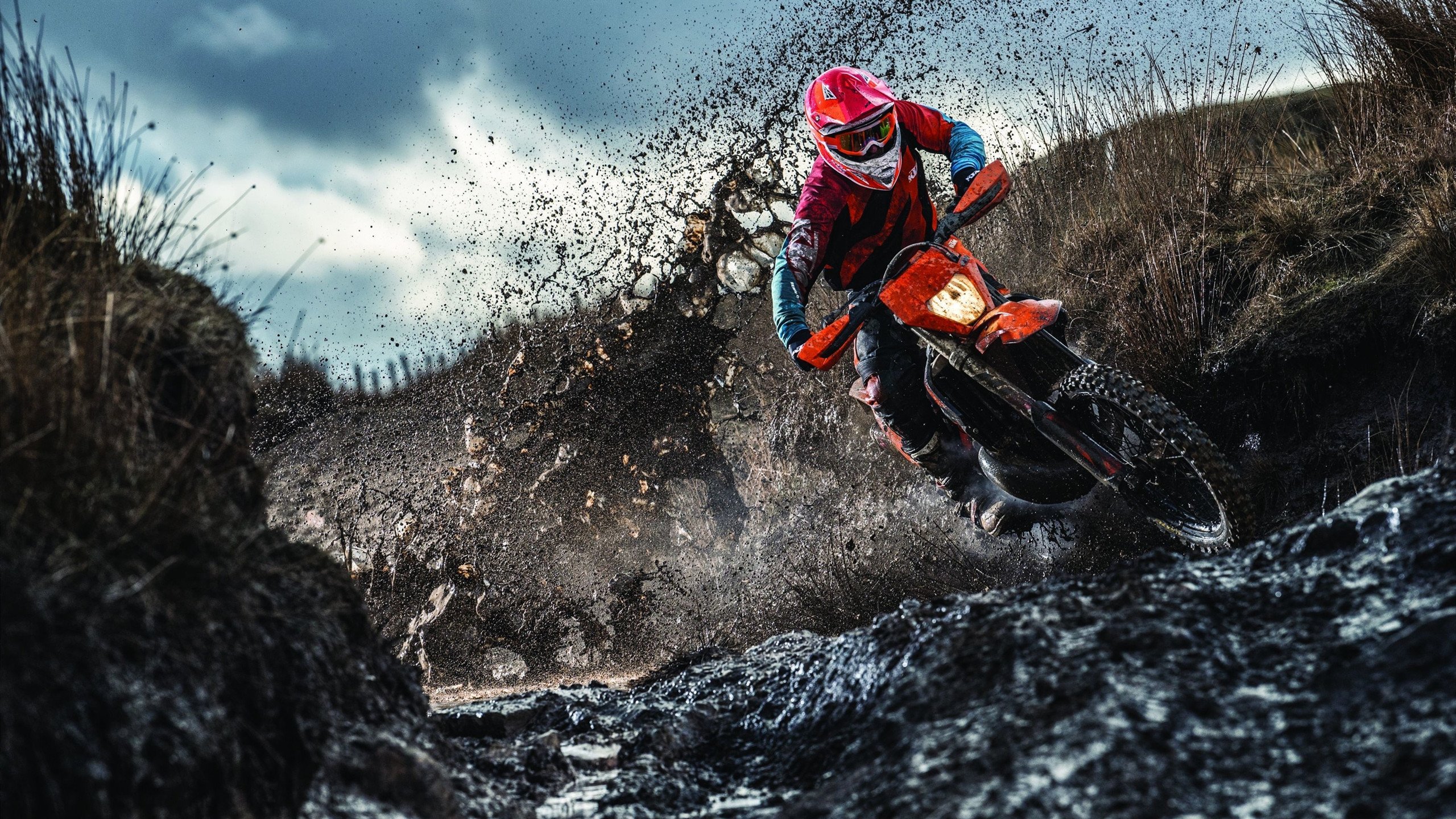 开云体育下载-57分！利拉德杀神模式轰塌灰熊，猛龙黑八奇迹差最后一关